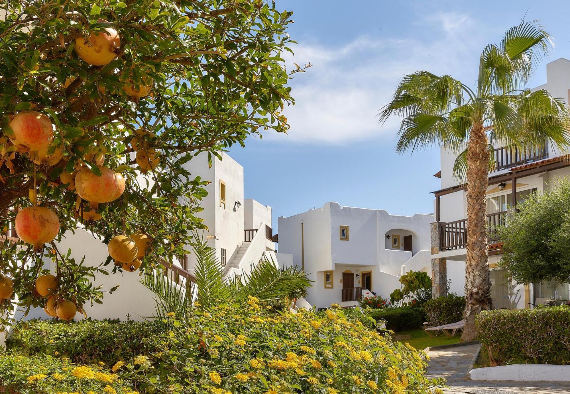 Alexander Beach Hotel & Village Resort Malia Exterior foto