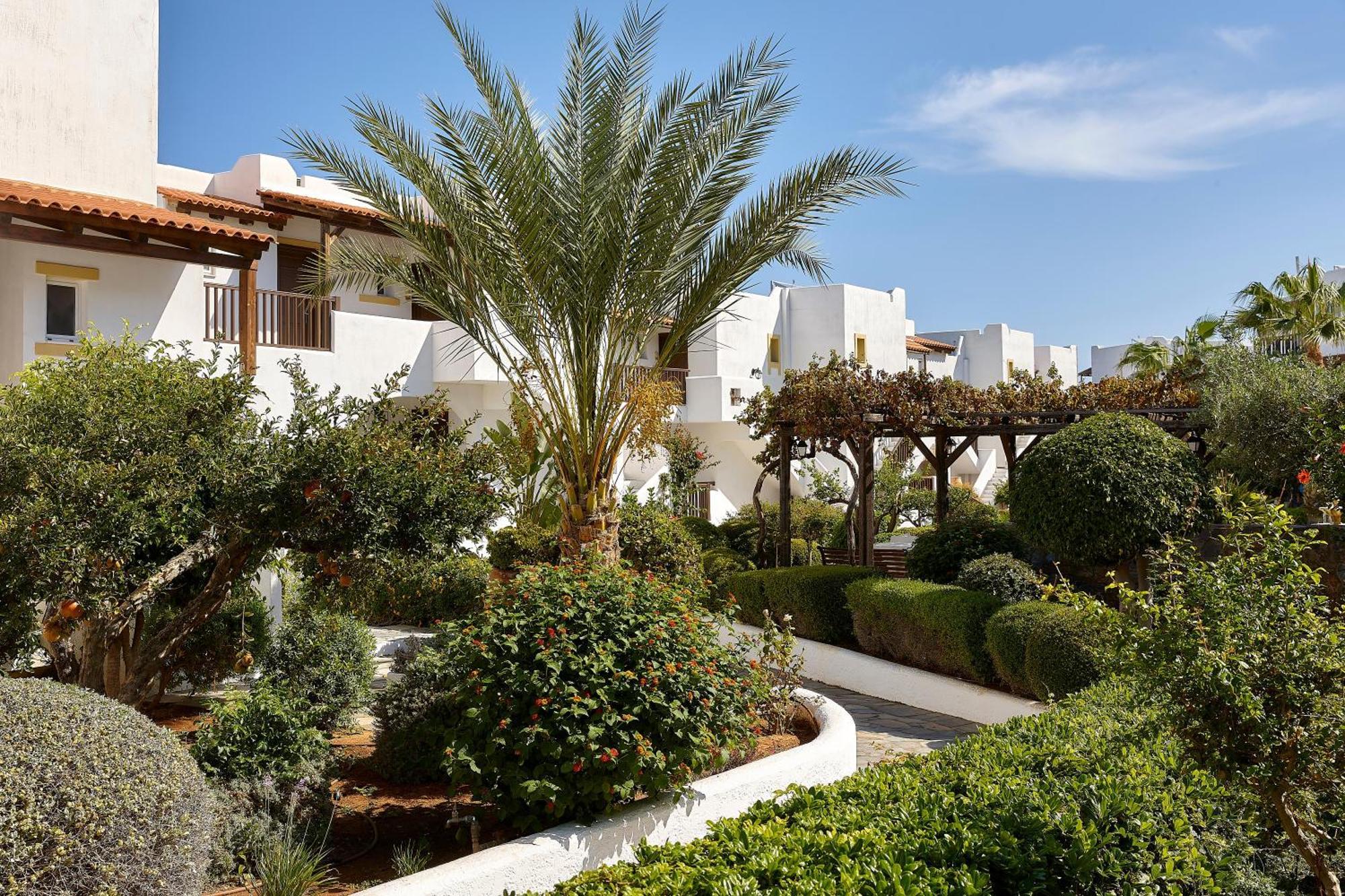Alexander Beach Hotel & Village Resort Malia Exterior foto